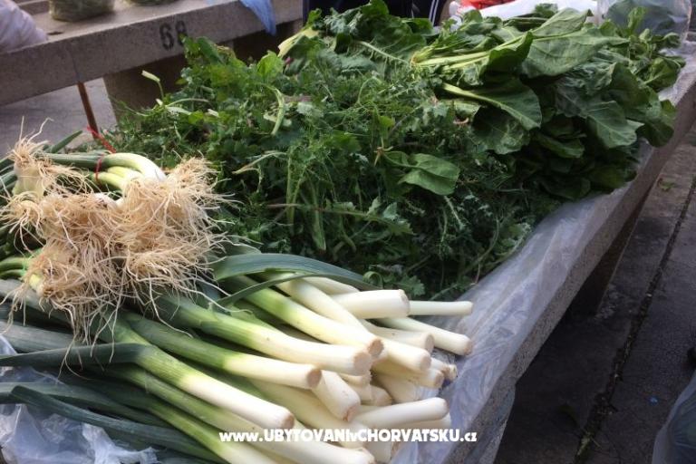 Kiwi House – photo 7