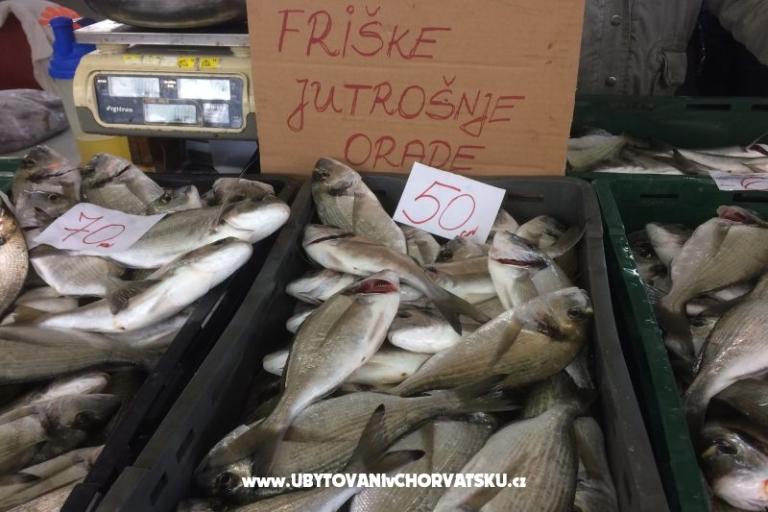 Kiwi House – photo 8