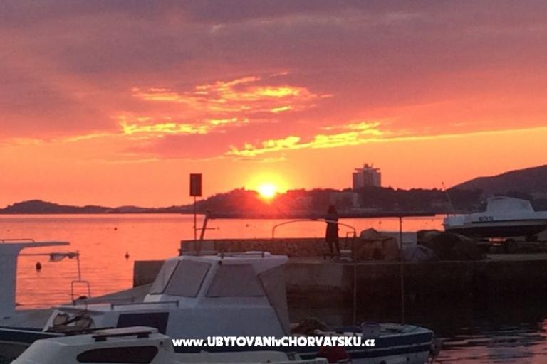 Kiwi House – photo 9