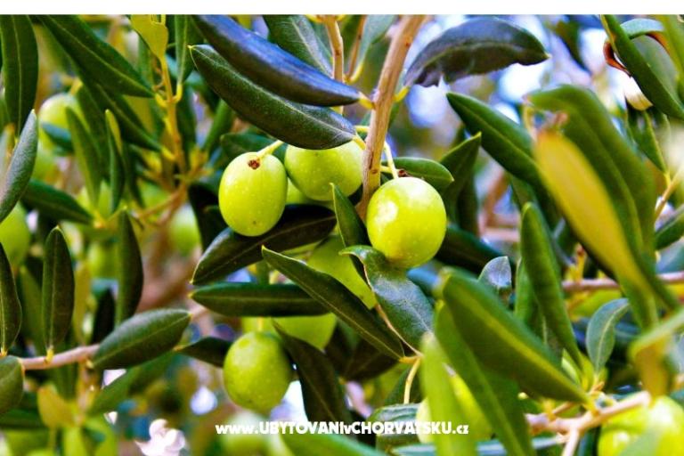 LAGOM apartments  – photo 13