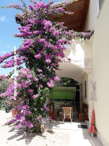 Apartments  Vesna  – photo 20