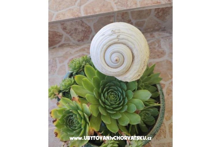 Vila Sara – photo 15