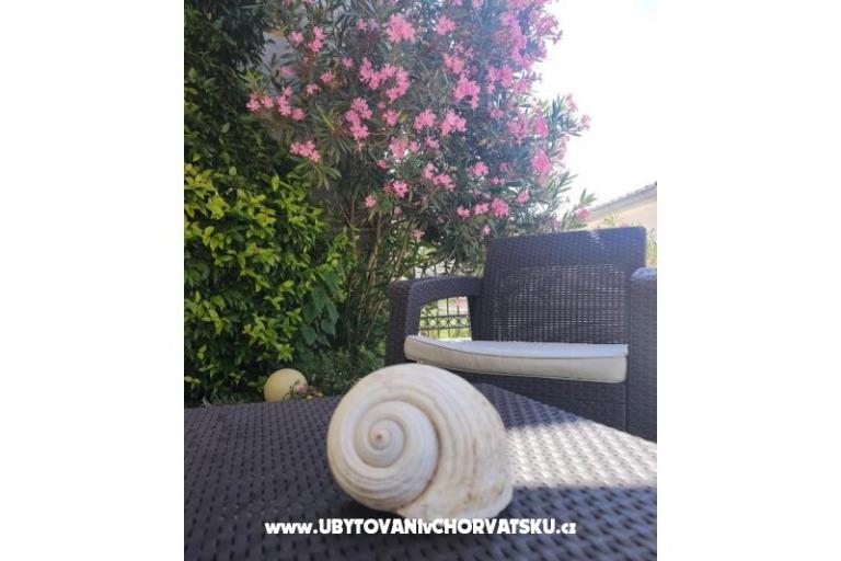 Vila Sara – photo 18
