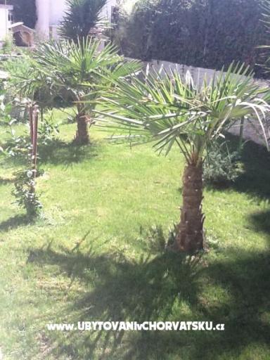 Villa Amelia – photo 9