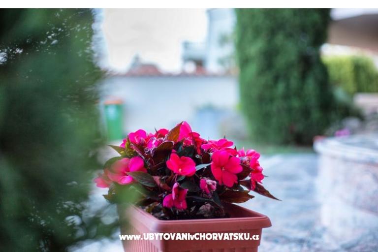 Villa Lovas – photo 6