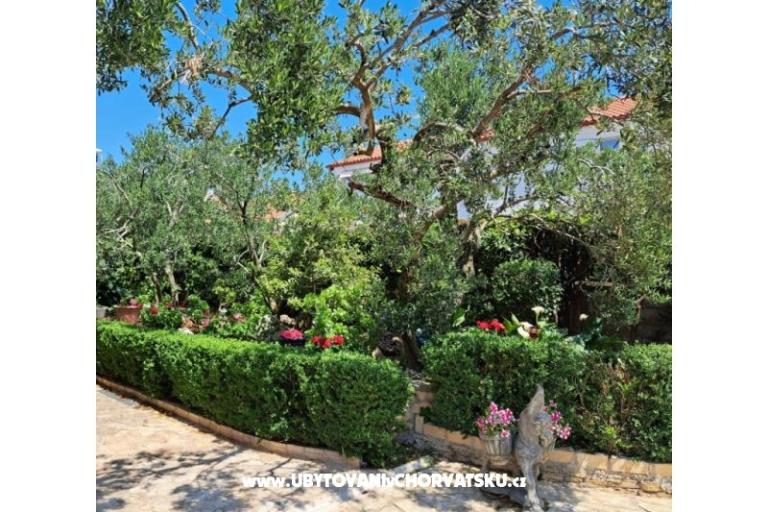 Villa Neda – photo 2