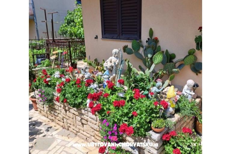 Villa Neda – photo 3