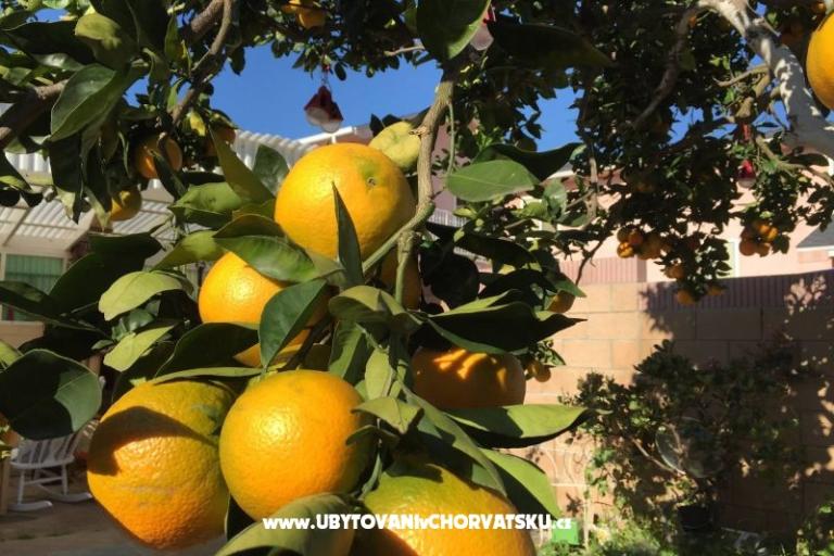 Villa Tanja *** – photo 11