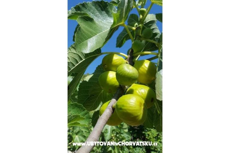 Villa Tanja *** – photo 13