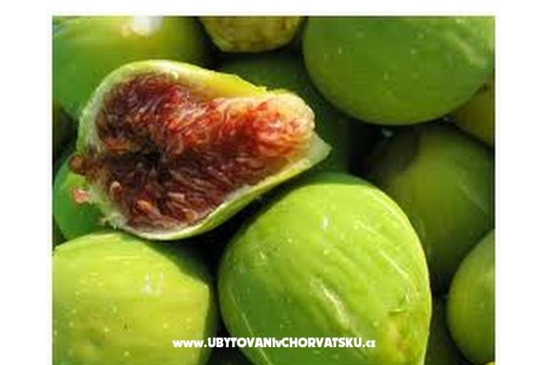 Villa Tanja *** – photo 14