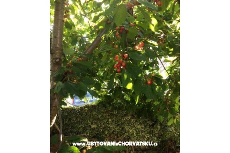 Villa Tanja *** – photo 16