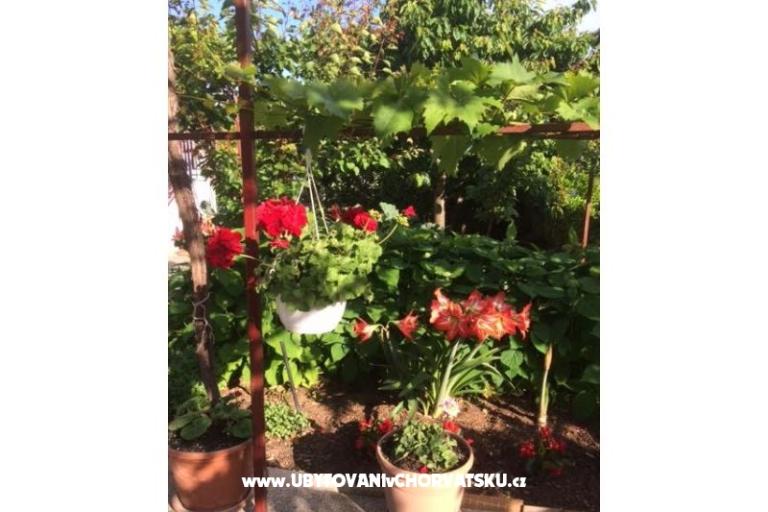 Villa Tanja *** – photo 7