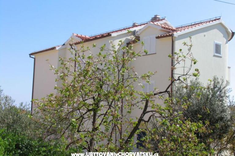 Apartments Blata – photo 2