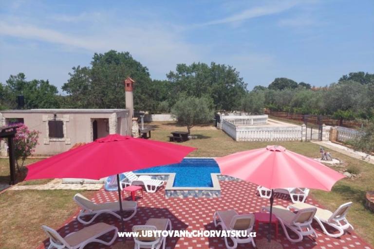 Apartments Chipo – photo 5