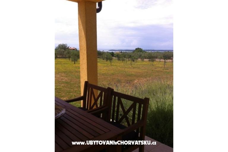 Villa Aleksandra – photo 16