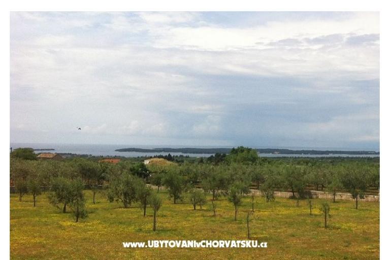 Villa Aleksandra – photo 17