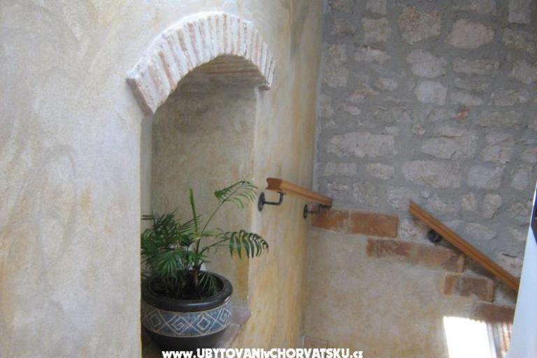 Apartments Iva – photo 8