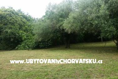 Apartments Rakovac Vrsar – photo 4