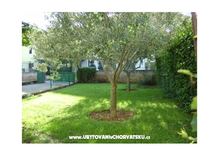 Apartment  Dalmacija – photo 17