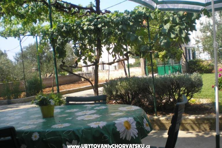 Apartment  Dalmacija – photo 2