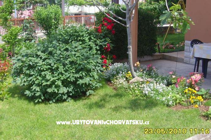 Apartment Amico – photo 6