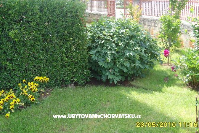 Apartment Amico – photo 8