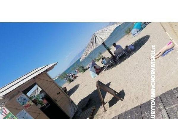 Apartment Selma, Nin   – photo 8