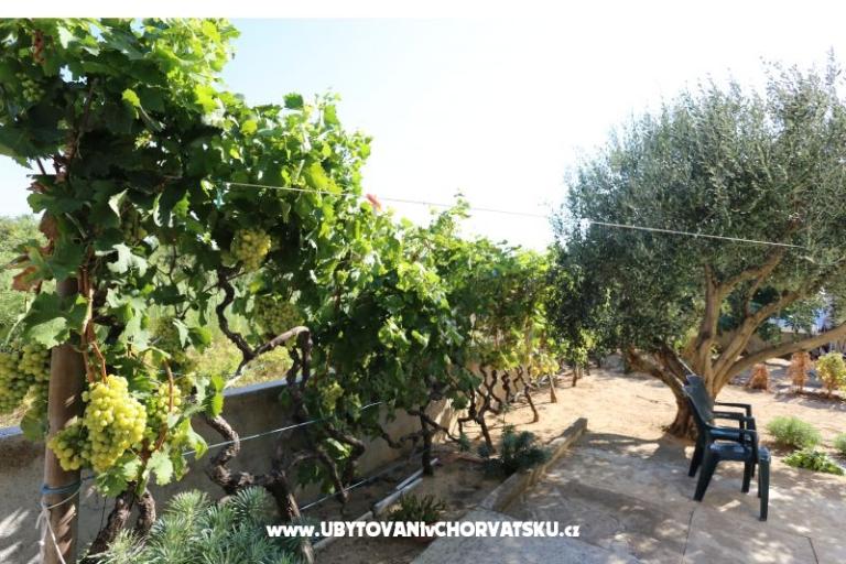 Apartment Radobuljac Vrsi  – photo 3