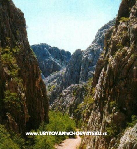 Apartment Rovanjska – photo 14