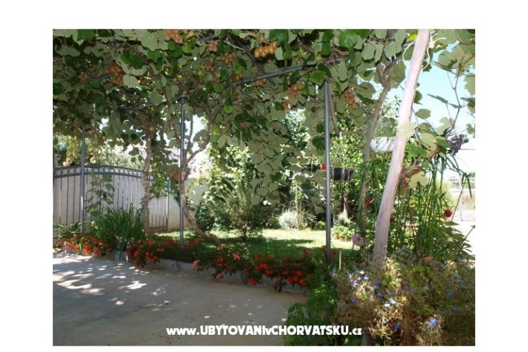 Apartments Andredor – photo 17