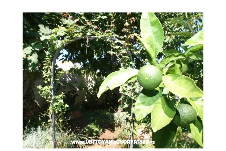 Apartments Andredor – photo 7