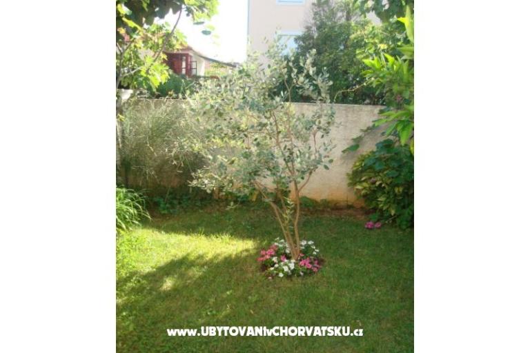 Apartments Andredor – photo 8