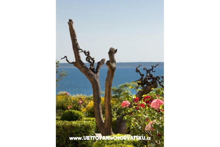 Apartments DANI – photo 15