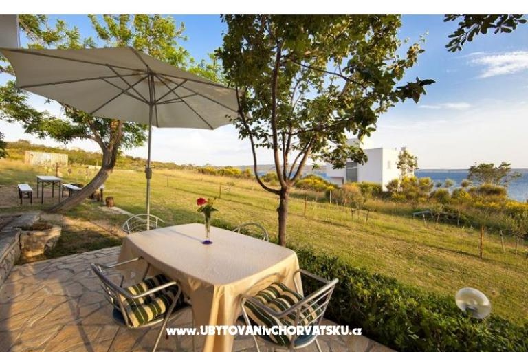 Apartments DANI – photo 7