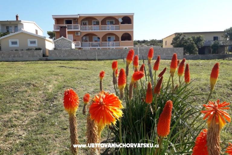 Apartmeni Adria - Rtina - – photo 13