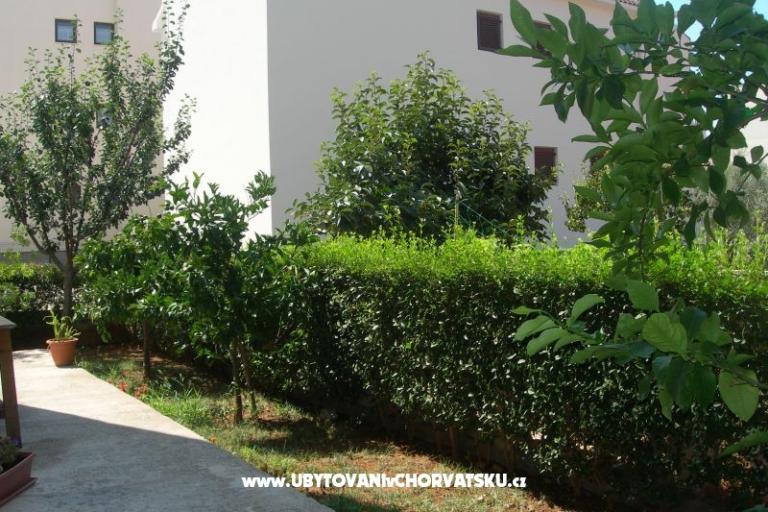 Apartments Ravkin – photo 7