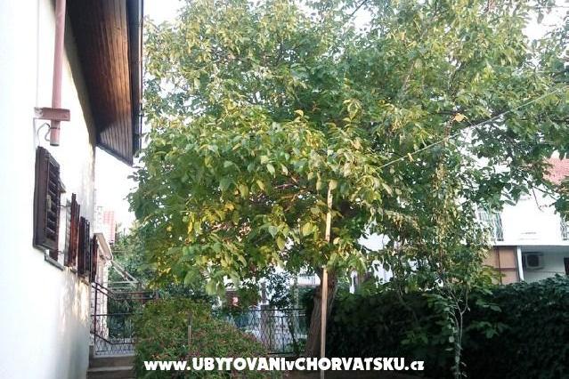 Apartment Karin – photo 5
