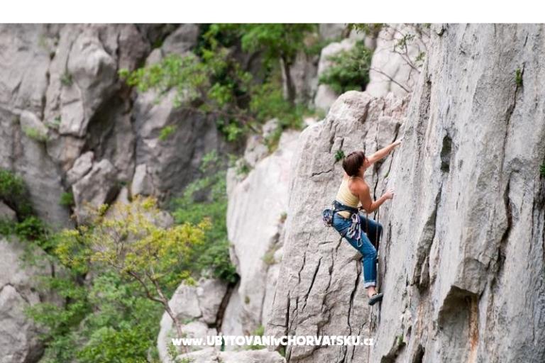 Apartments Natalija – photo 7