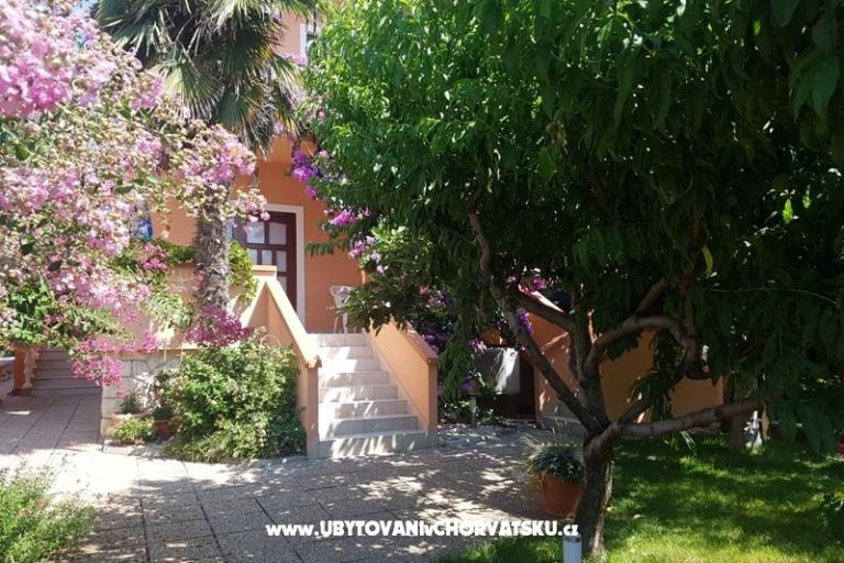 Apartments Riva – photo 5
