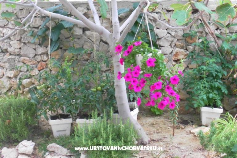 Apartments Stojanović – photo 16