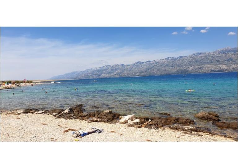 Apartments Stojanović – photo 3