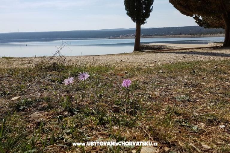 Apartments Tena,  prvi red do mora – photo 45