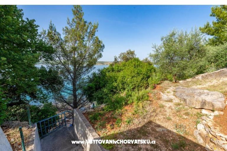 Apartments Tunjarica – photo 6