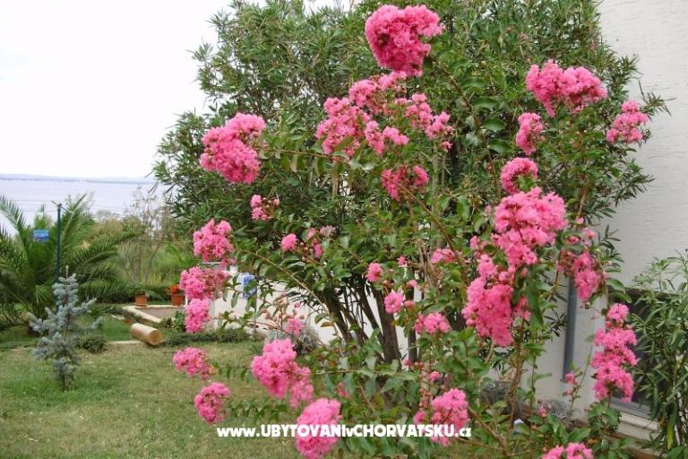 Apartments Marija – photo 7