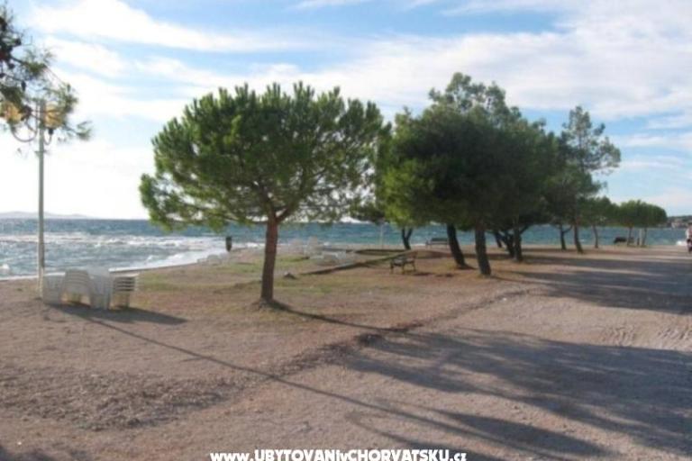 Apartment Jelena – photo 8