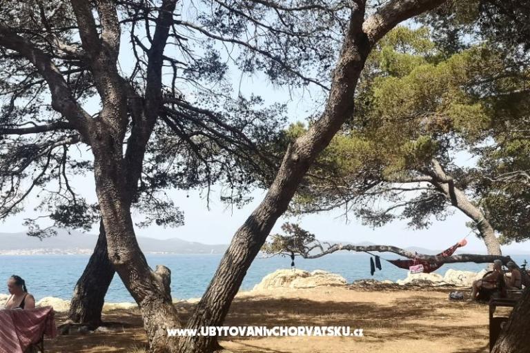 Apartments Asea Zadar – photo 6