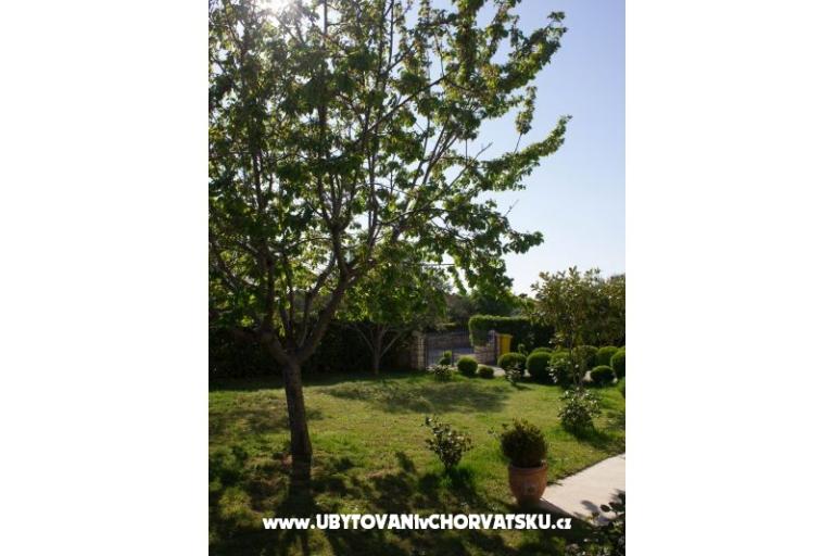 Apartments Duke – photo 3