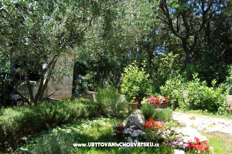 Apartments ISA – photo 12
