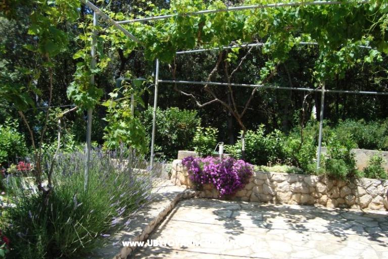 Apartments ISA – photo 14