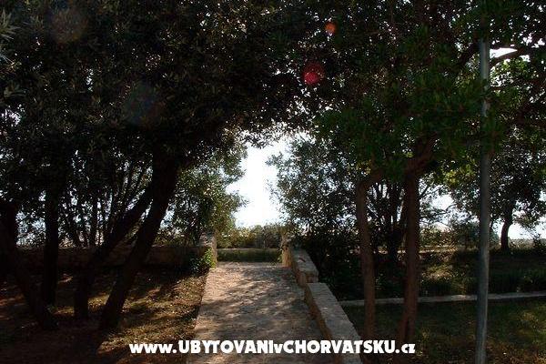 Apartments ISA – photo 6